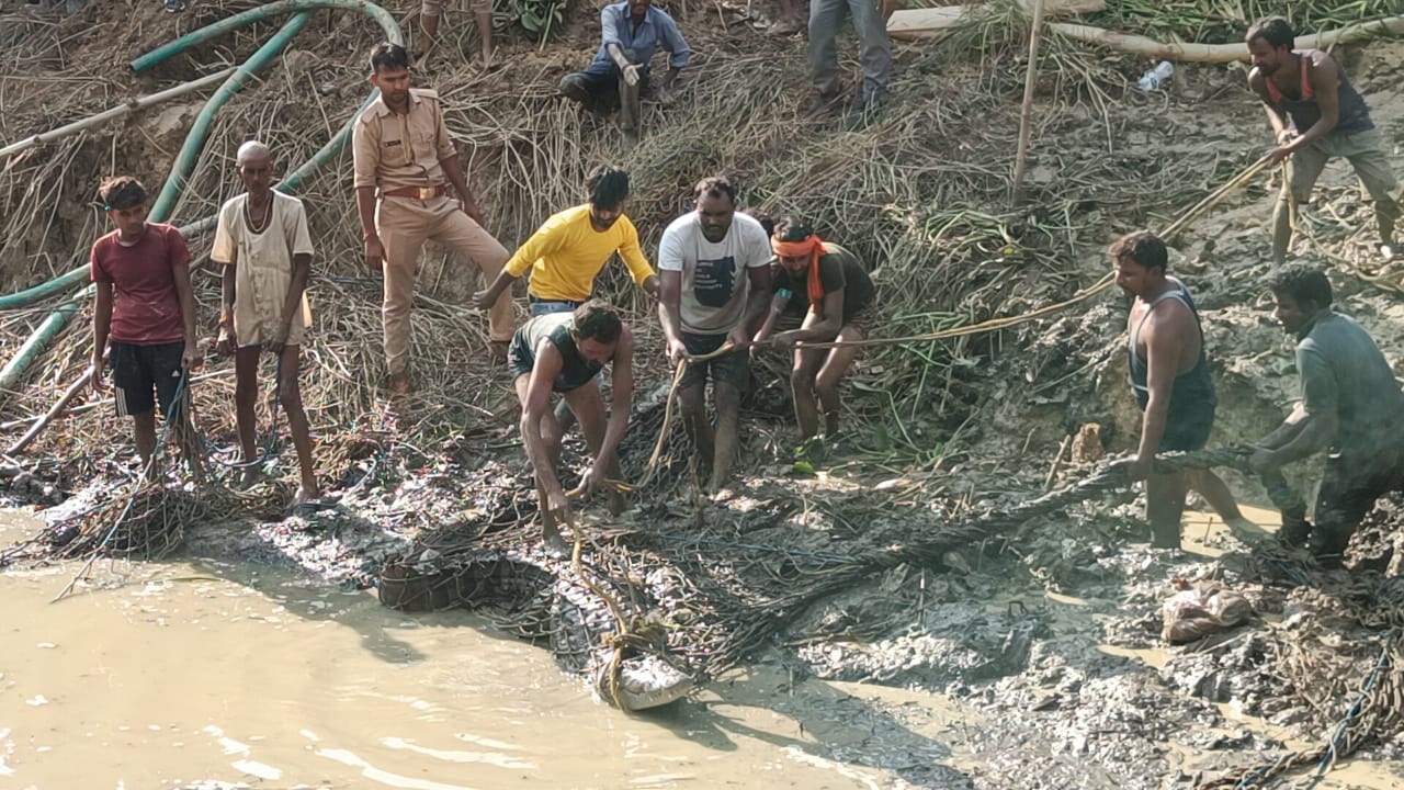 गोविंदपुर टिकरिया गांव में पकड़ा गया 8 फीट का मगरमच्छ: ग्रामीणों ने ली राहत की सांस